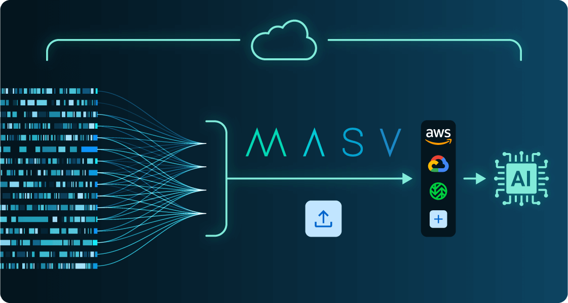 MASV AI