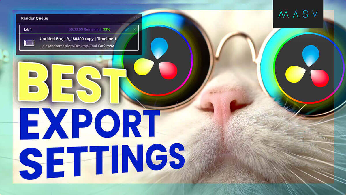 Cat wearing reflective glasses with text reading “Best Export Settings.”