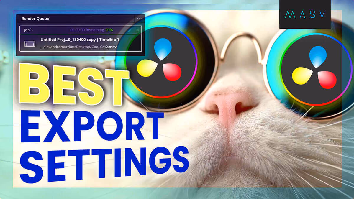 Cat wearing reflective glasses with text reading “Best Export Settings.”