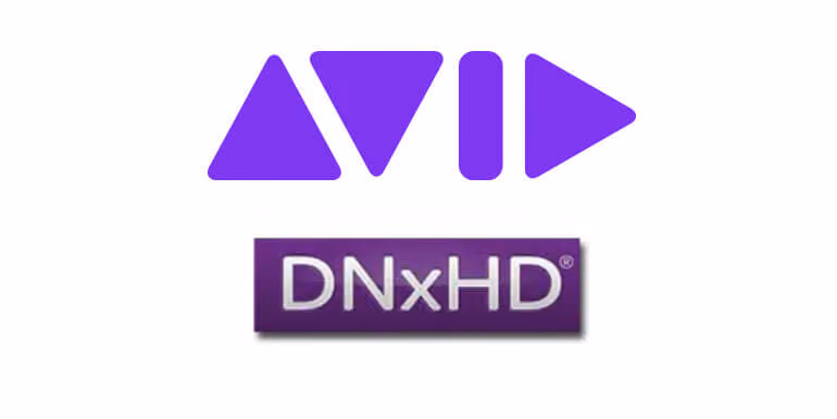 dnxhd logo